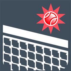 Volley master