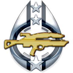 Assault Rifle Expert