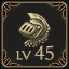 Reach Lvl 45 with a character