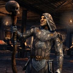 Wrothgar Master Relic Hunter
