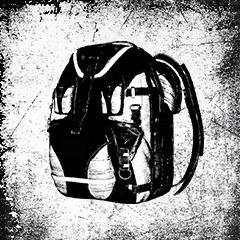 In the Bag