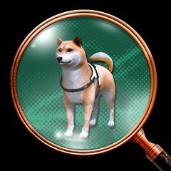 Who\'s a Good Boy?