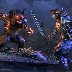Wolfhunter Delver