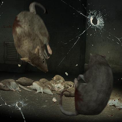 Rat Trapper2