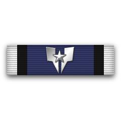 Cruiser Ribbon