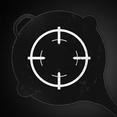 Agent 48