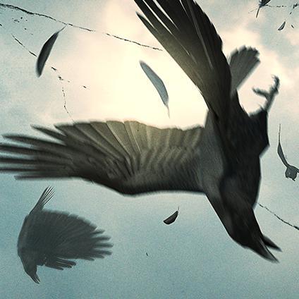 Crow Hunter2