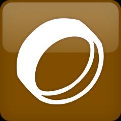 The One Ring