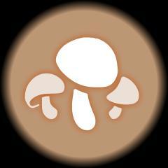 Mycologist