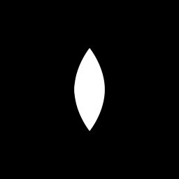 Seed