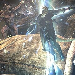 Tamriel Skyshard Hunter