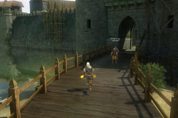 The Witcher