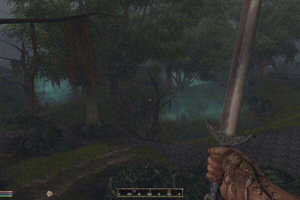 Morroblivion