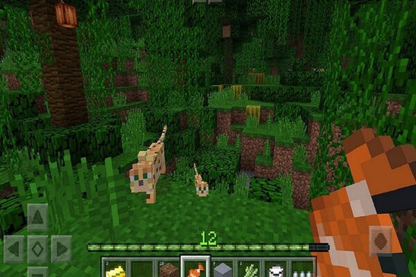 Minecraft: Pocket Edition