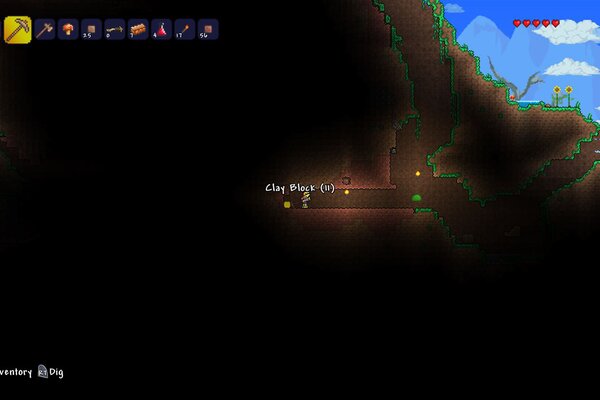 Terraria