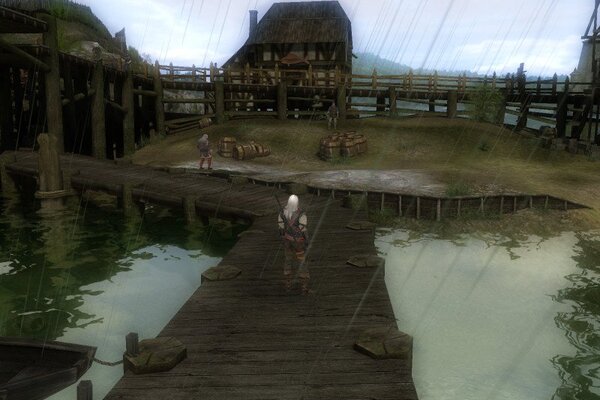 The Witcher