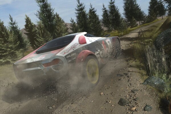 Colin McRae: DiRT