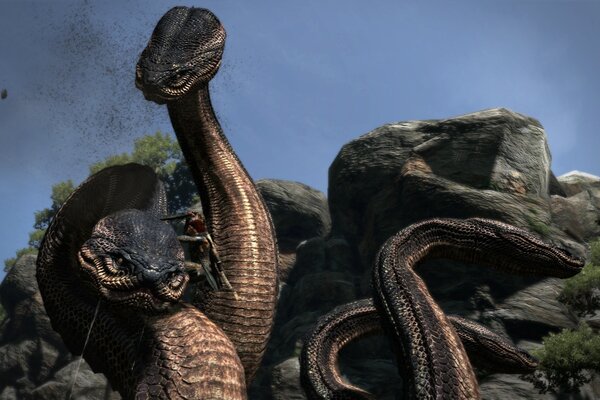 Dragon's Dogma