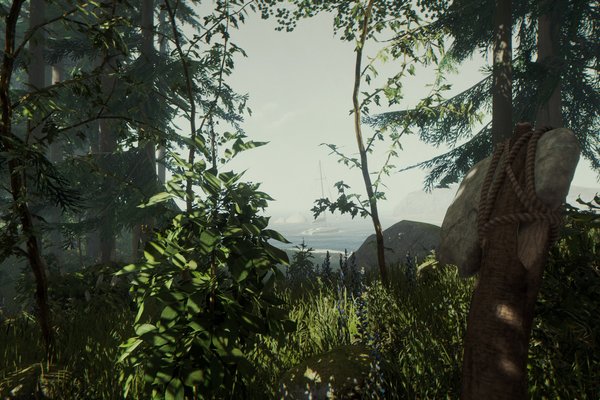 The Forest