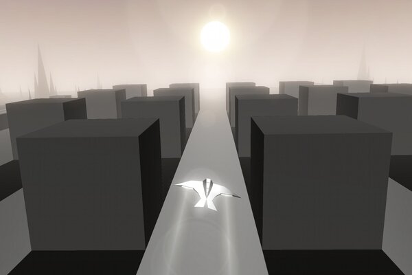 Race The Sun