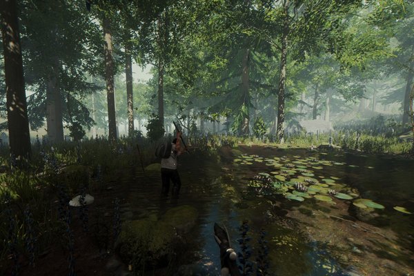 The Forest