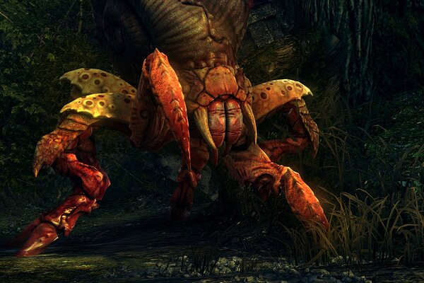 The Witcher 2: Assassins of Kings