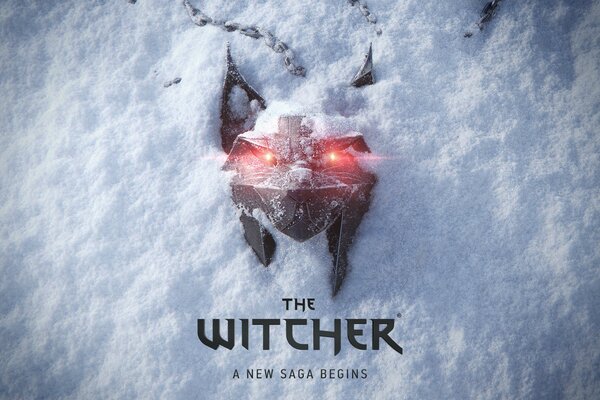 The Witcher (A New Saga Begins)