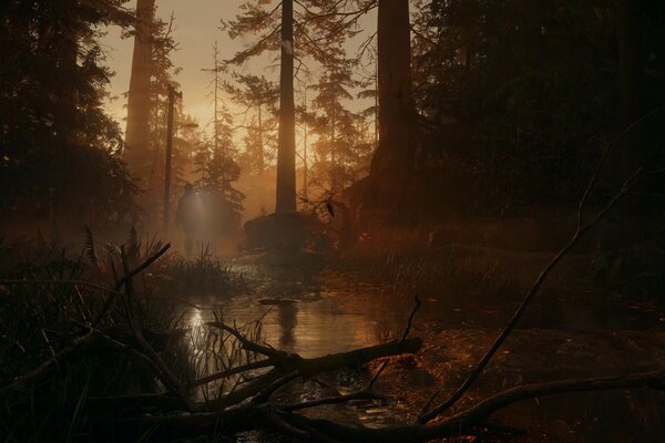 Alan Wake 2