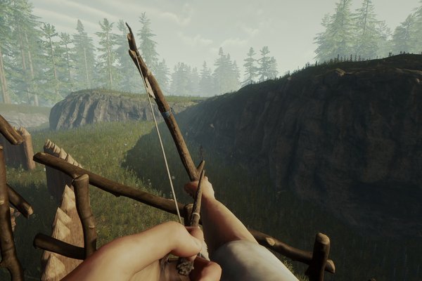 The Forest