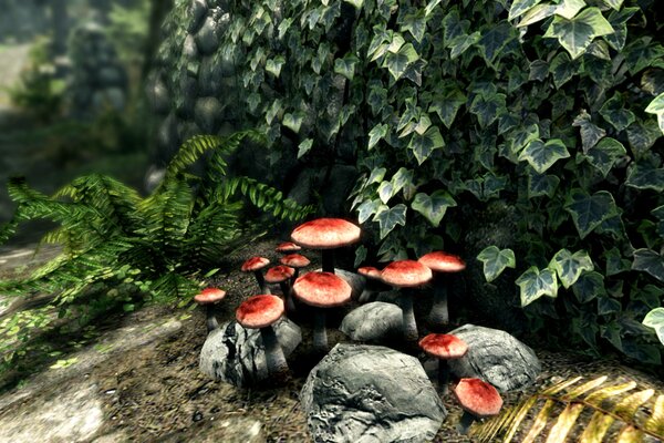 The Elder Scrolls V: Skyrim Special Edition