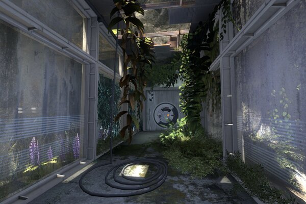 Portal: Revolution