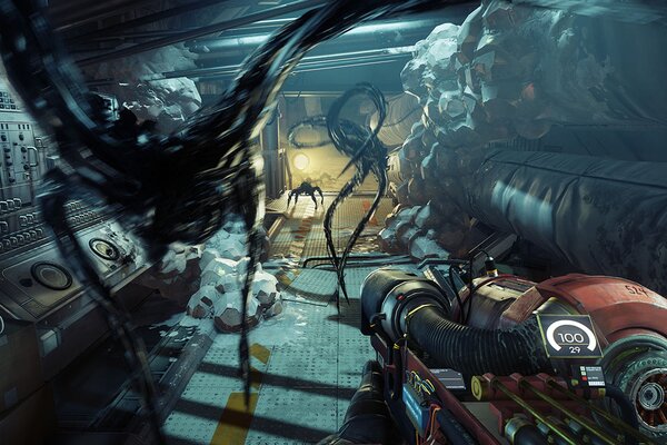 Prey