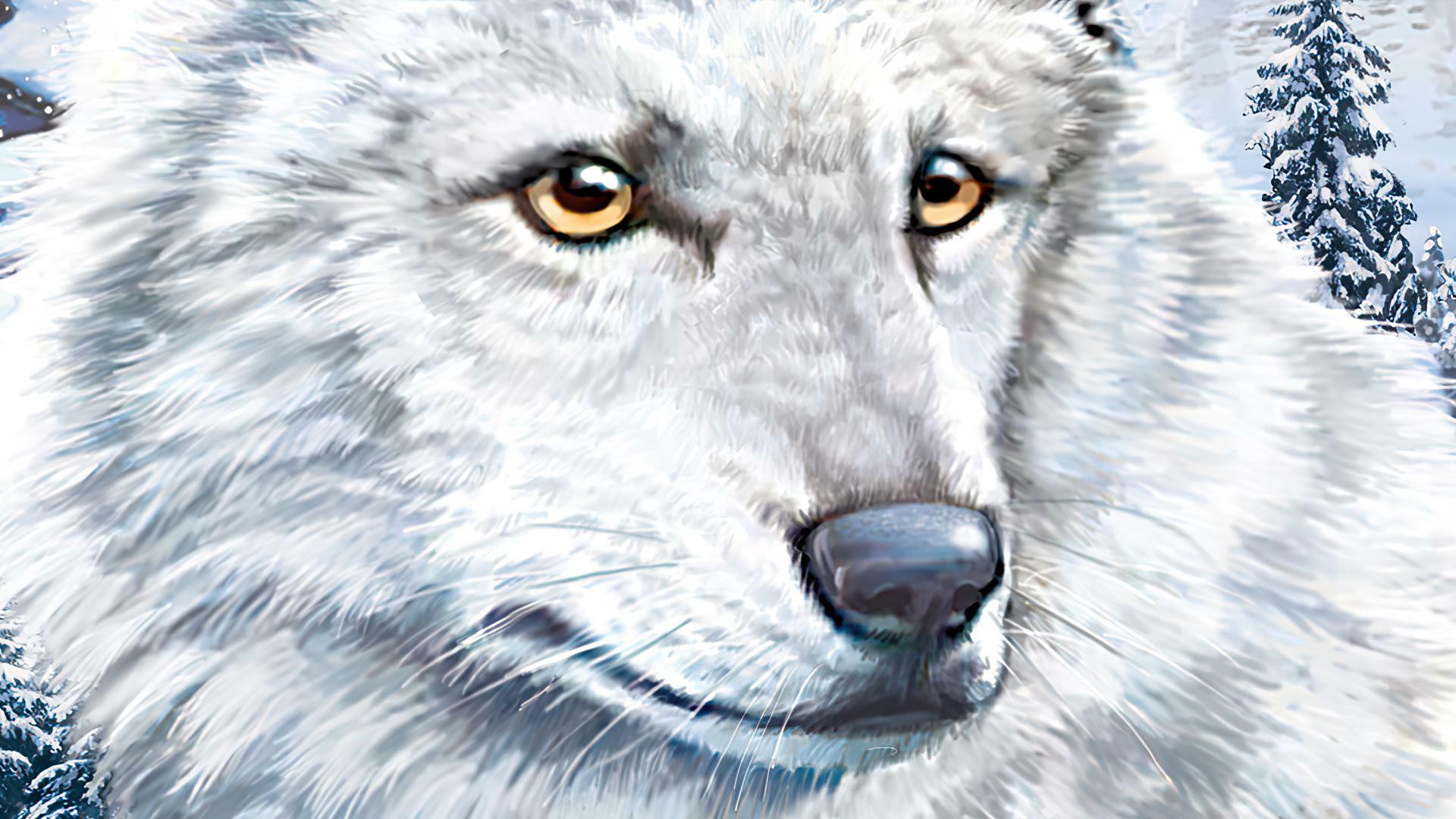 Nancy Drew: The White Wolf of Icicle Creek