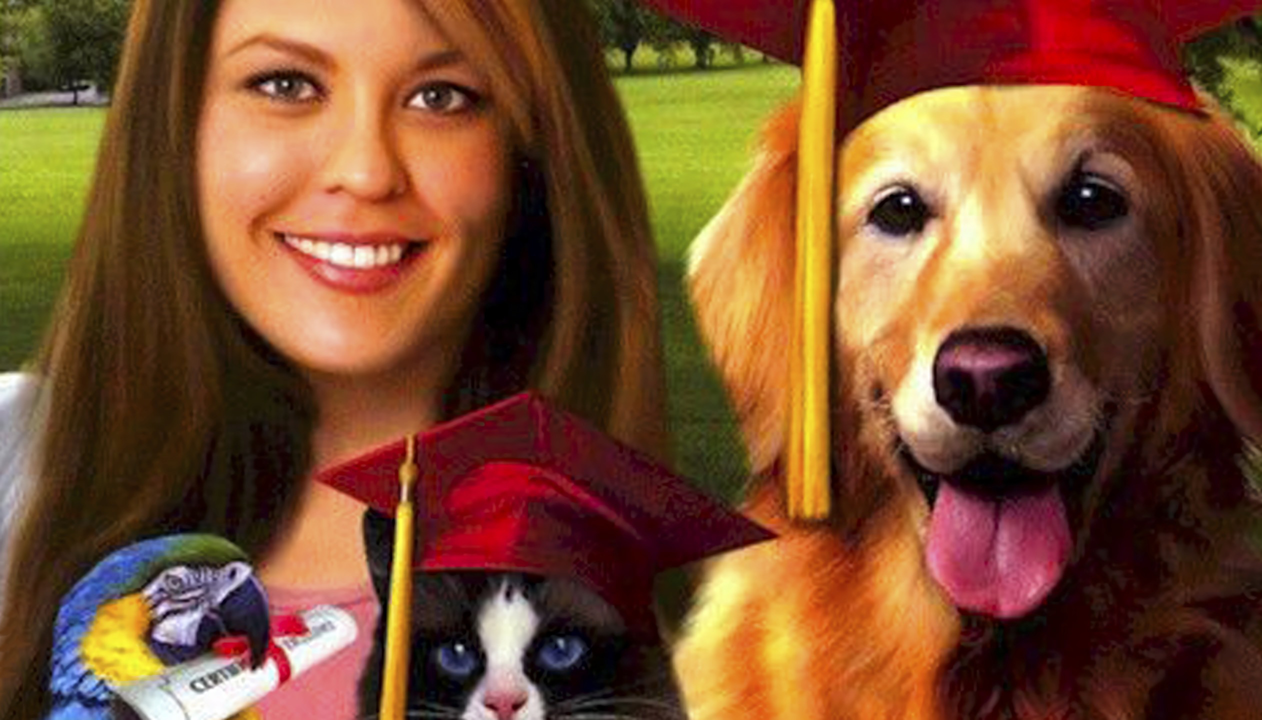 Paws & Claws: Pet School