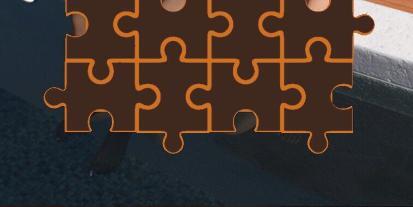 Jigsaw Puzzle - Futanari Pool Party