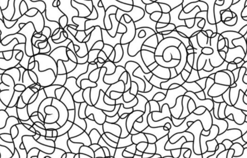 Sex Search 2: Ultimate