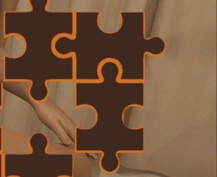 Jigsaw Puzzle - Futanari Massage