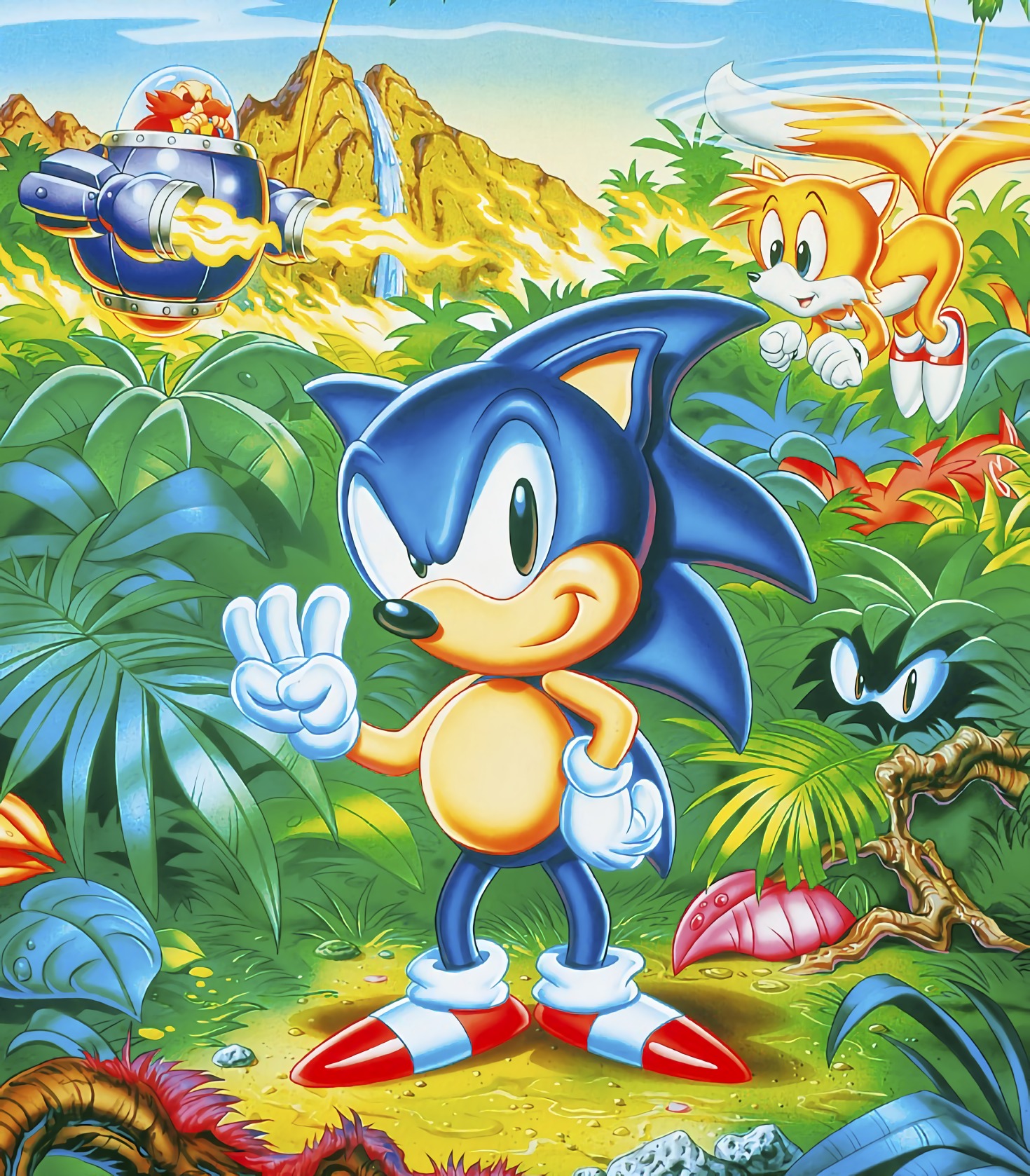 Longplay of Sonic Boom: Rise of Lyric 