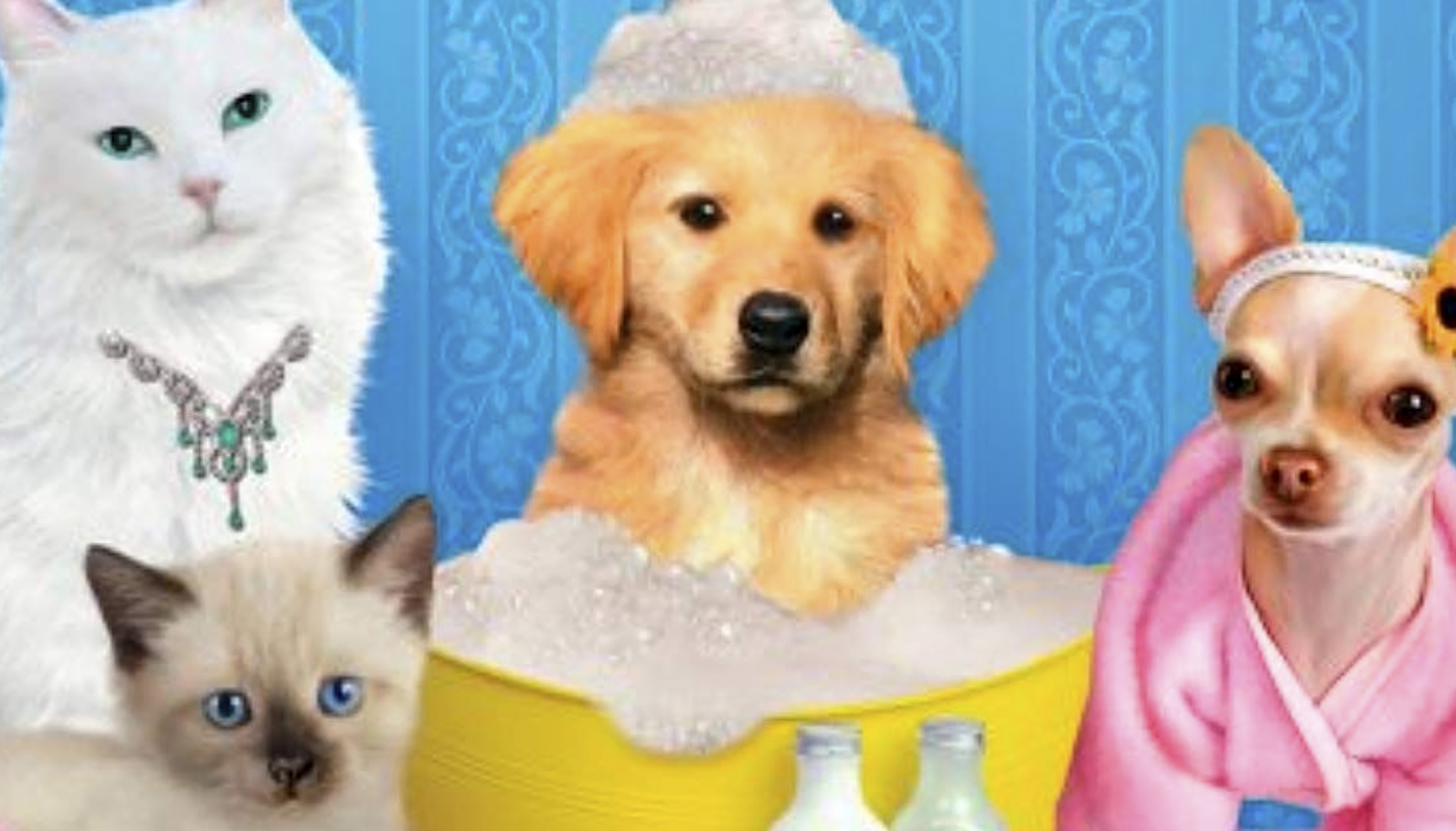 Paws & Claws: Pampered Pets