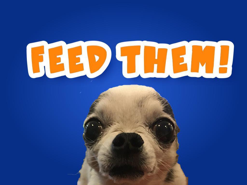 Feed on them. Feed them.