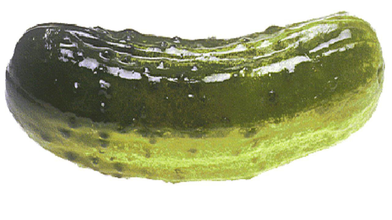 Pickle dump. Pickle. Пикули на прозрачном фоне. Pickle Wargeads. To Pickle.