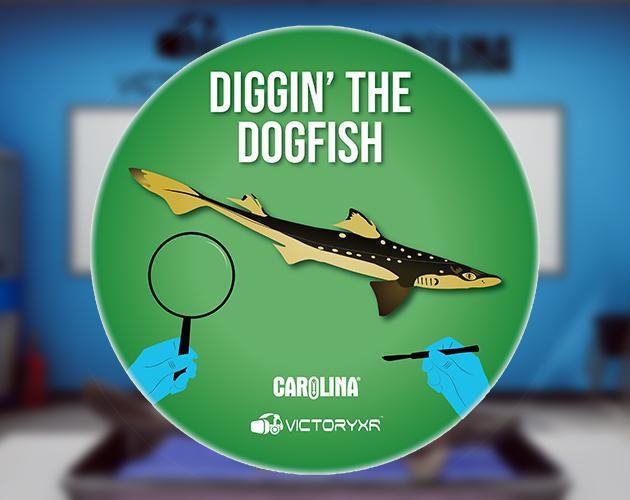 VR Dogfish Dissection Diggin' the Dogfish release date, videos