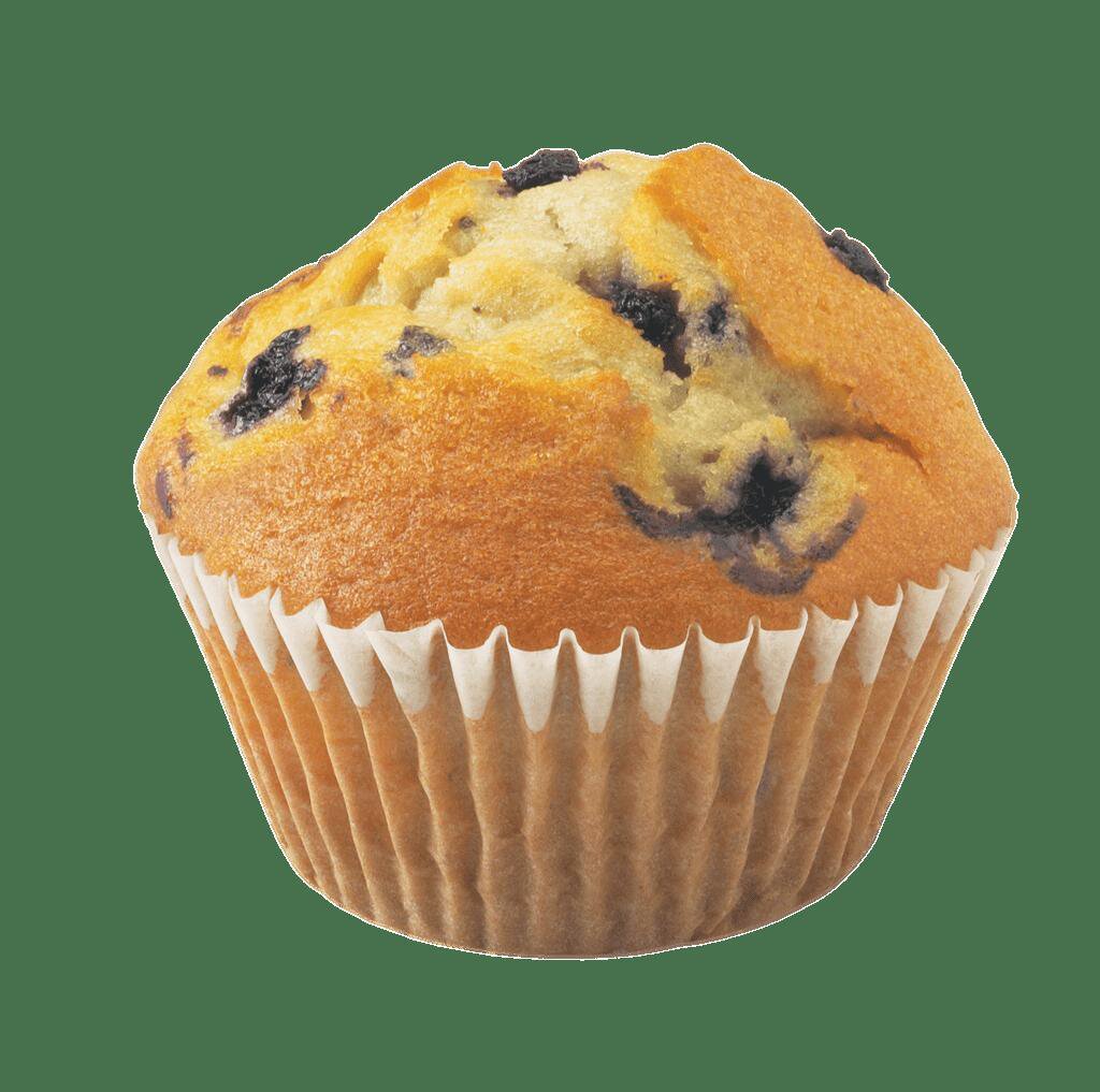 Blueberry muffin. Peppy Blueberry Muffin. ��•Blueberry Muffin•🫐 Gacha.