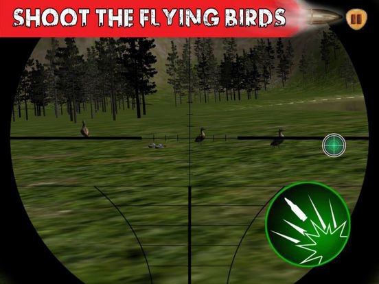 Sniper Skill Duck Hunting Screenshots • Rawg 0346