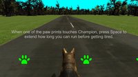 Dog's Quest screenshot, image №844163 - RAWG