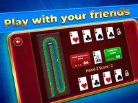 Cribbage Solitaire Challenge screenshot, image №2341706 - RAWG