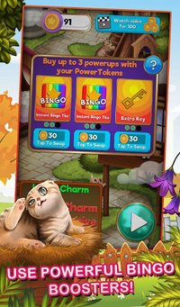 Bingo Pets Mania: Cat Craze screenshot, image №1360140 - RAWG