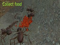 Ant Simulation 3D screenshot, image №937447 - RAWG