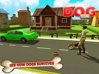 Amazing Dog Simulator: Play super dog life role screenshot, image №1780084 - RAWG