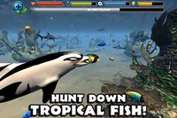 Dolphin Simulator screenshot, image №1560761 - RAWG